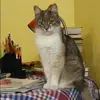 Отзыв от Алла Ильина